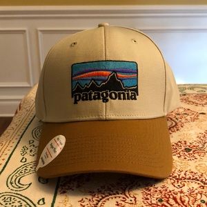 Patagonia Roger That Cap